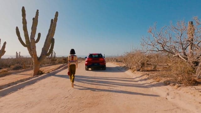 Dreams of the desert sea