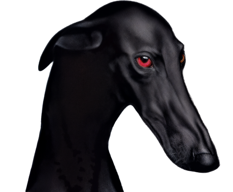 Galgo